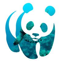 WWF CEA-GI (@wwf_cea_gi) 's Twitter Profile