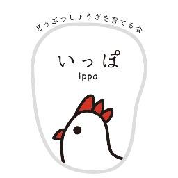 いっぽ どうぶつしょうぎを育てる会 Ippo 3x4 Twitter