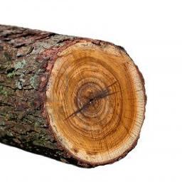 AaronKuum's profile picture. 