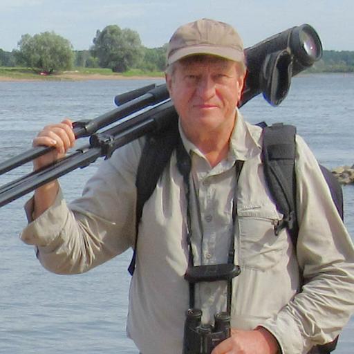 ridibundus1's profile picture. Dipl.-Biol.; ornithology; teacher (biology; chemistry)