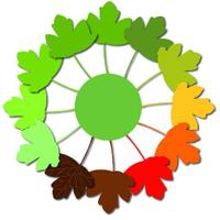Bradford Forest Schools (@bfdforestschls) 's Twitter Profile