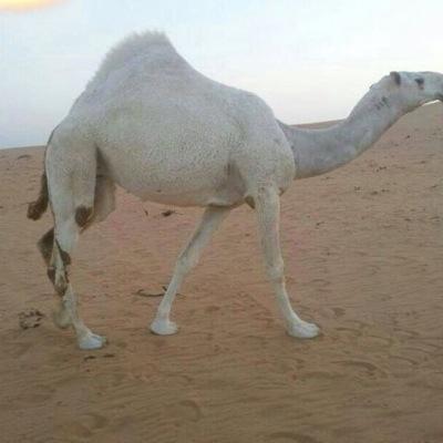 store602's profile picture. 