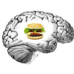 Nutrition, obesity, science and your brain.