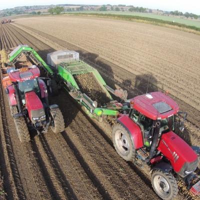 Growing Wheat, Oilseed Rape, Beans & Potatoes. LEAF Marque & SFI. Also RTK / Ntrip base station covering N'land, Durham and The Borders. Public weighbridge too.