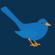 businessbirduk's profile picture. http://t.co/BU5hdONyrw is a free online website providing advice, tips and guides on how to find the right job and succeed in business.