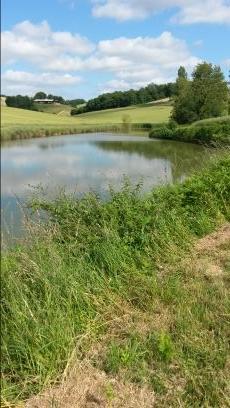 Arn0les's profile picture. footballeur-comptable