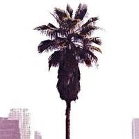 vibes (@relaxvibes) 's Twitter Profile Photo vibes (@relaxvibes) 's Twitter Profile Photo