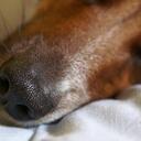 Anna Selander - @AnnaInNuce - Twitter