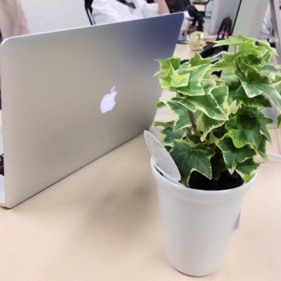 lammychan's profile picture. 沖縄で仕事したい人