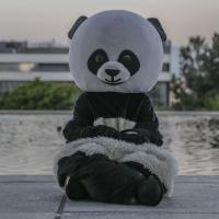 Panderz (@panderz_) 's Twitter Profile