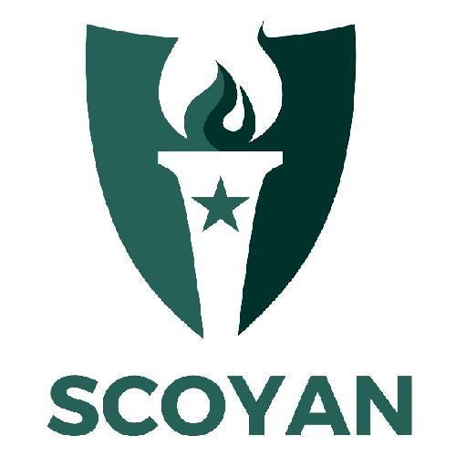 The Socio-Community Youth Association of Nigeria (SCOYAN) works towards a vision of bridging the divide amongst the Youth in Nigeria