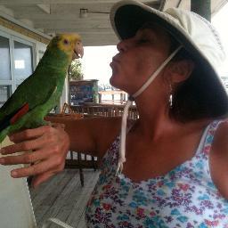 pammieparris1's profile picture. Riding the wave learning . pretty much all I can . uncensored, on the path of least existence. Always giving faith a fighting chance .