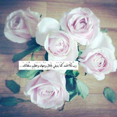 YAZANMANASEER's profile picture. 