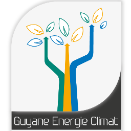 Le flux de Guyane Energie-Climat