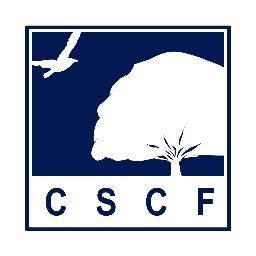 ugacscf's profile picture. 