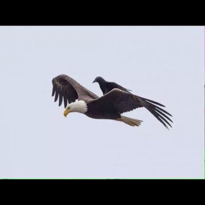 iprahim332's profile picture. التغيير يبدأ من النفس . قال تعالى : (( إن الله لايغير ما بقوم حتى يغيروا ما بأنفسهم ))