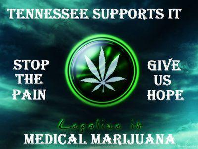 we are out to educate people in Tennessee and many more across the country & the world about cannabis and reform laws.
Bring cannabis users out of the closet.