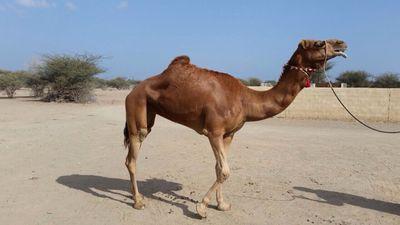 RvxAMD6nmmt6ij8's profile picture. 