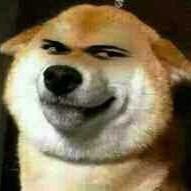 Ponymap's profile picture. 