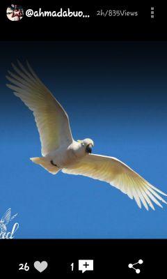 hb_2608's profile picture. 