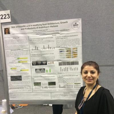 Noura94237280's profile picture. 