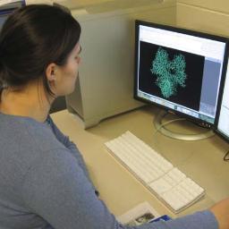 The Bioinformatics and Computational Biology (BCBio) Program at Iowa State University. Participating departments: Math, Com S, GDCB.