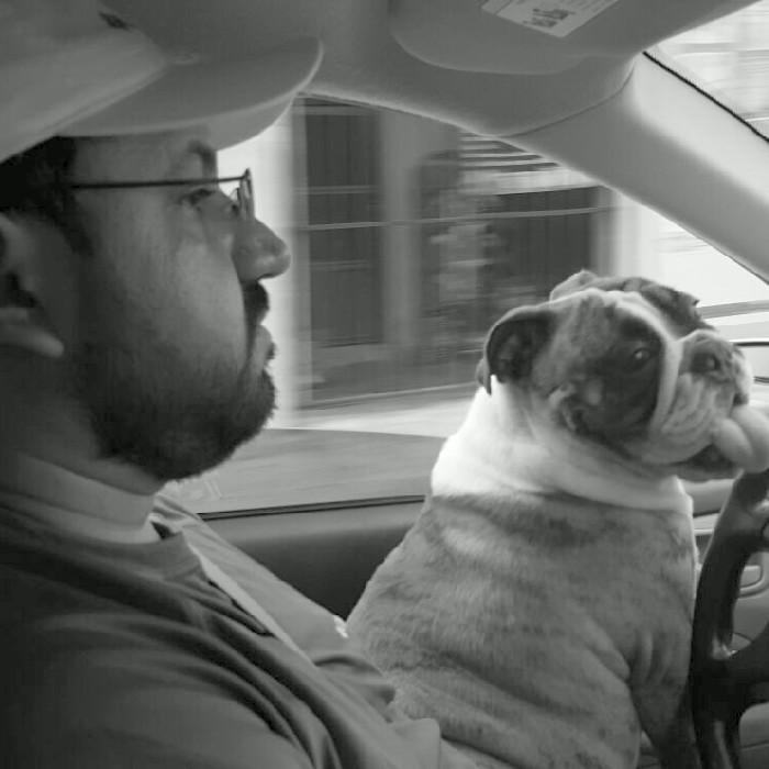 bgrifaldo's profile picture. 