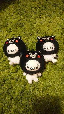 applebear_ayu's profile picture. Career Consultant(CDA)/Coaching(CPCC)/元AWS Community Hero/ MBA/GLOBIS/くまモンLover/ワーママ♡情シスのなかの人→人事部の中の人になりました　My intersts→組織行動論|Cloud|カラオケ|子育て