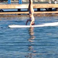 Vicki Evans (@vickievans12) 's Twitter Profile