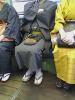 松山・道後・中島の情報を発信してます。 孫たちと老犬の生活です。