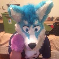 Stripes the Winged Kangaroo (@raidersonicad) 's Twitter Profile