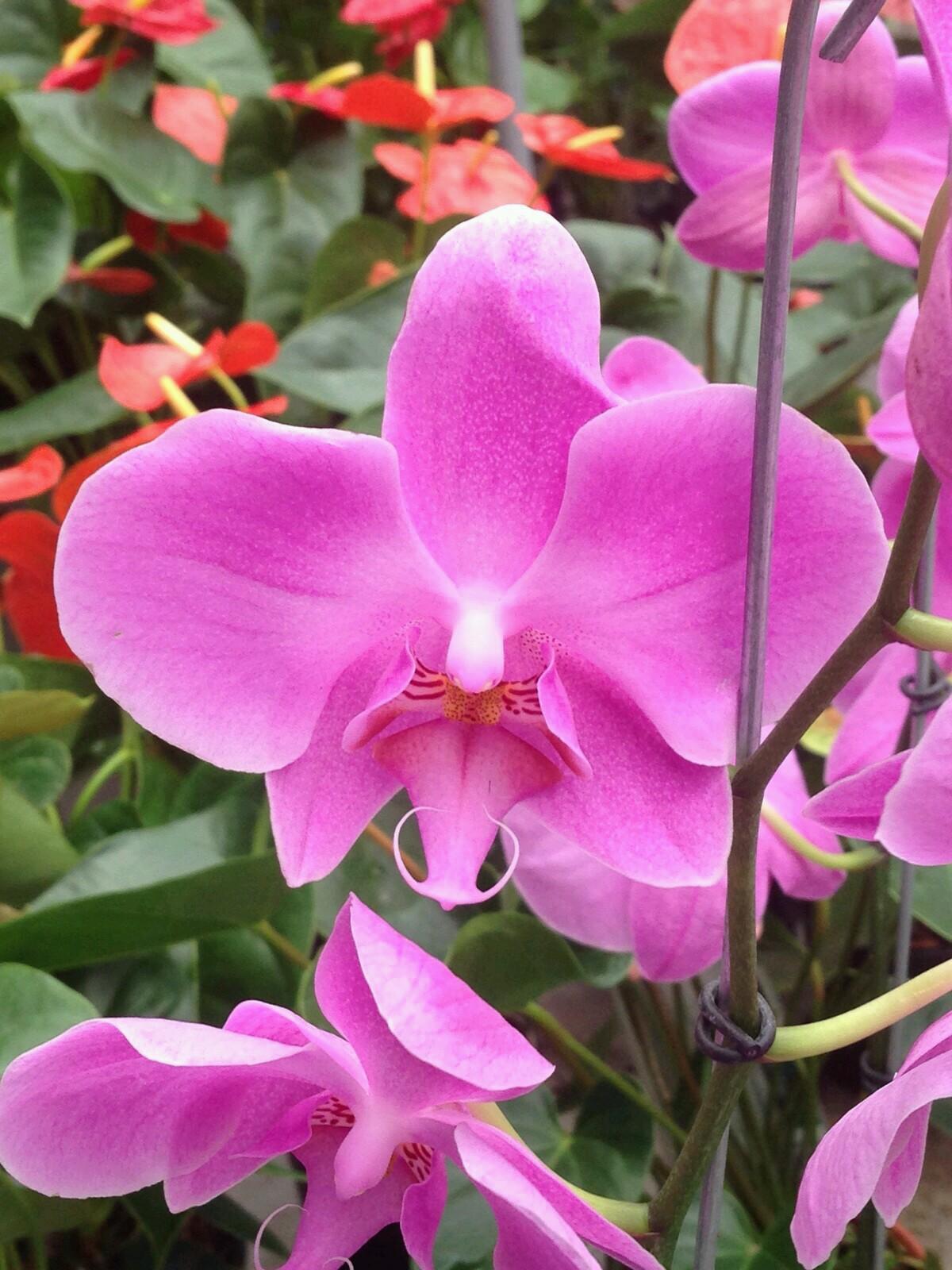 jacq65fue's profile picture. 