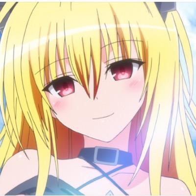 Toloveるヤミ推し Twitterissa キター届きました とても興奮しています 表紙素敵ですね 初回生産限定版ということで 色々な特典が付いています ヤミちゃんは必ず嫁にします 早くやりたいですがこれから用事があるので出来ません 終わったら速攻でします ではっ