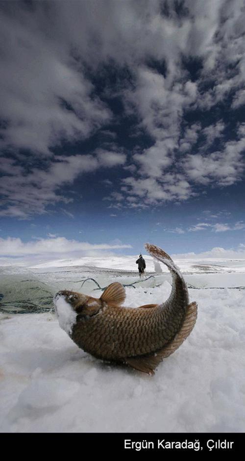 matermatut's profile picture. 