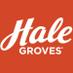 Hale Groves (@halegroves) Twitter profile photo