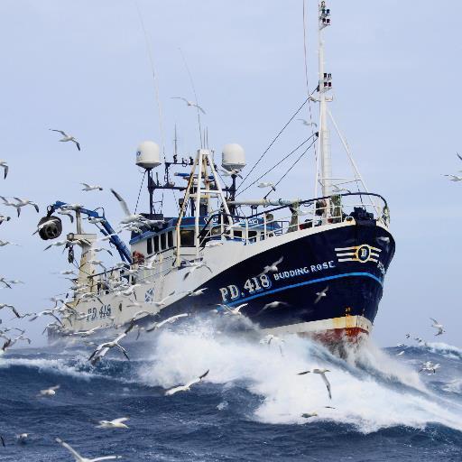 Peter Bruce l fish out of Peterhead Scotland for cod,haddock,whiting,coley,hake. Enjoy staying in Aberdeenshire