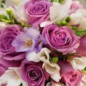 The Flower Factory (@flowerfactory) 's Twitter Profile