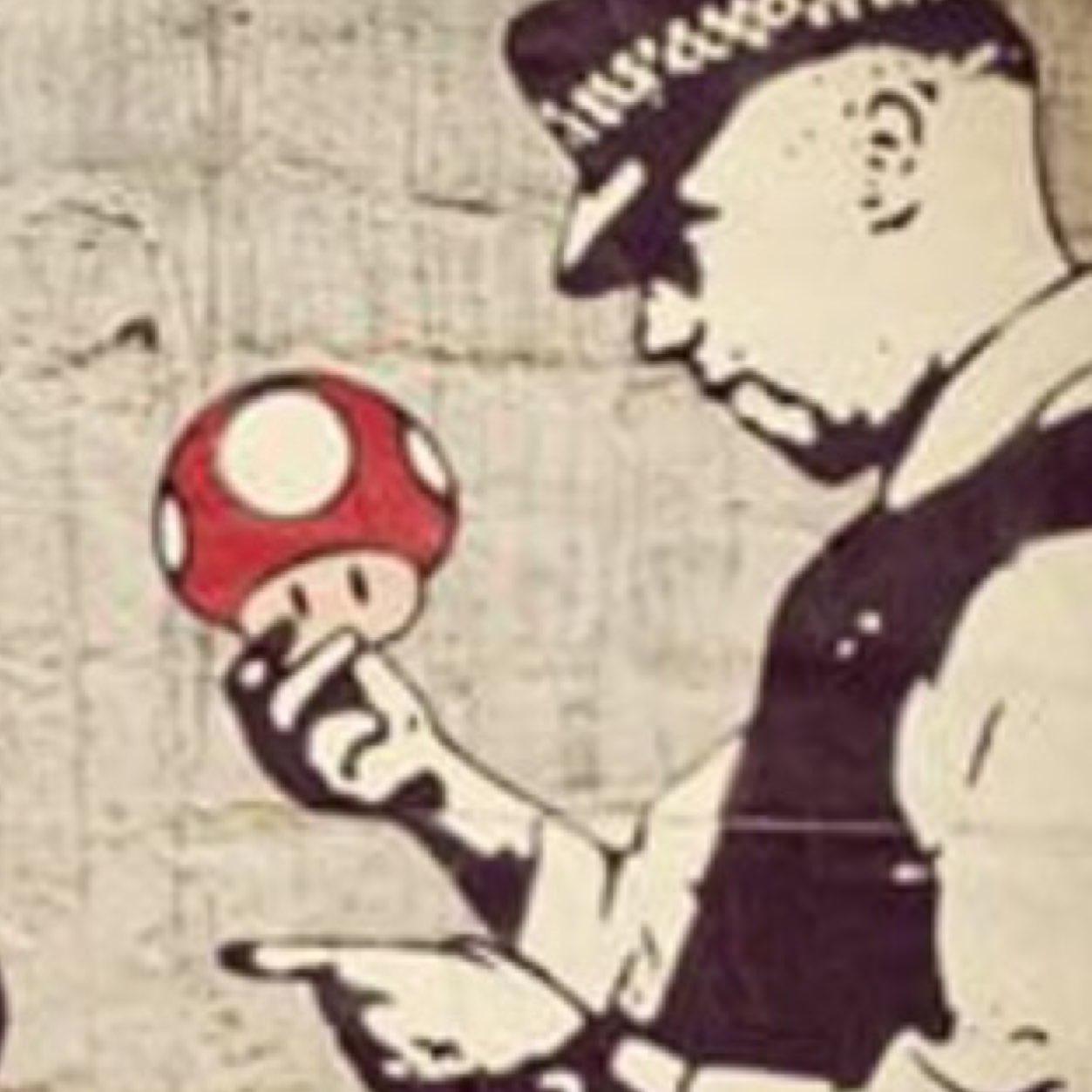 The Mario Bros. no one talks about. I hated plumbing, now I'm not famous...