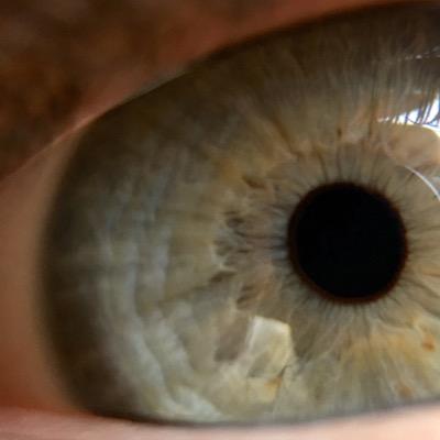 rilo69's profile picture. 