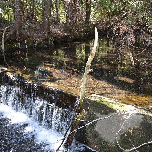 Committed to Stopping the Hidden Quarry Application in the town of Rockwood, Ontario.