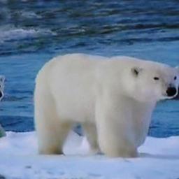 ramoslopezedua2's profile picture. 