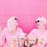 Aesthetucs★ch (@aestheticschchc) 's Twitter Profile Photo Aesthetucs★ch (@aestheticschchc) 's Twitter Profile Photo