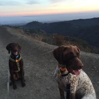 Stacey Carter MD (@staceyccarter) 's Twitter Profile