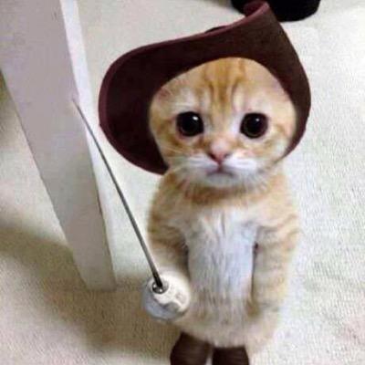 funnydogs1234's profile picture. 