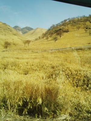 meronmeron09's profile picture. こんにちわんこそば。腐女子です。絵の練習を始めたので、ちょくちょくあげていこう思います。よろしくです！