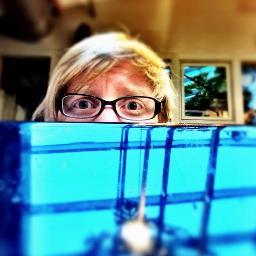 I love to make beautiful things. I'm currently interested in #Python, #Django, and the Internet of Things. I write #code every day. #MOOC