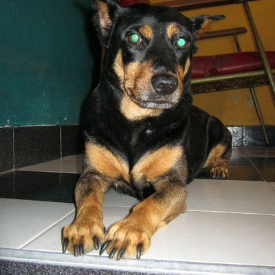 julianm8804's profile picture. 