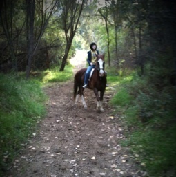 Mochibomb's profile picture. 