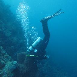 Lead researcher @themarinediary | Project Manager @PlymouthMarine | Watersports enthusiast the rest of the time
