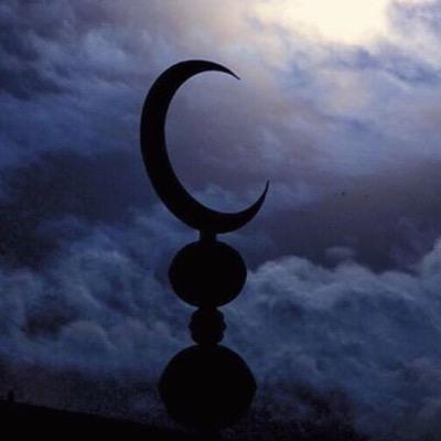 aodagli's profile picture. 